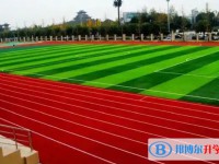 大彎中學地址，乘車路線