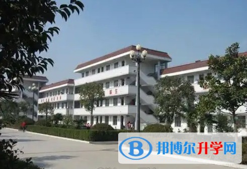2025青白江區為明學校招生計劃 招生人數是多少(附要求、條件、對象)
