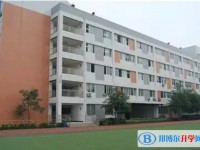 2025石橋中學(xué)招生計(jì)劃 招生人數(shù)是多少(附要求、條件、對象)