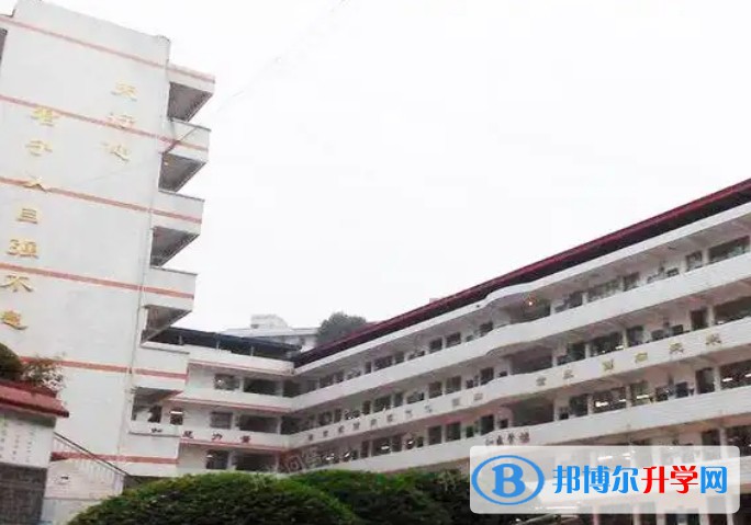 2025三星中學招生計劃 招生人數是多少(附要求、條件、對象)