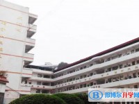 2025三星中學招生計劃 招生人數是多少(附要求、條件、對象)