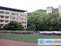 2025簡陽實驗中學招生計劃 招生人數是多少(附要求、條件、對象)