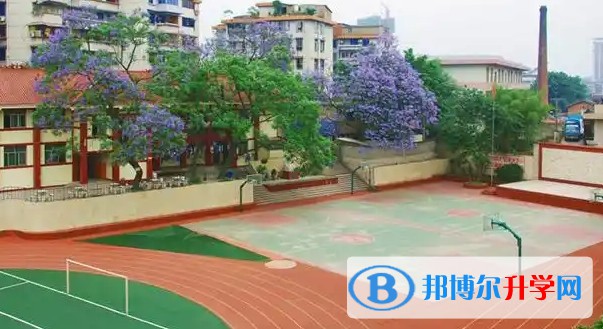 自貢六中招生簡(jiǎn)章2025年