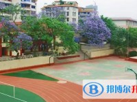 自貢六中招生簡章2025年