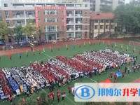 2025自貢六中招生計劃 招生人數(shù)是多少(附要求、條件、對象)