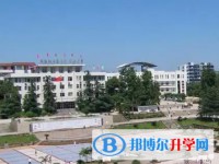 2025四川省榮縣中學招生計劃 招生人數是多少(附要求、條件、對象)