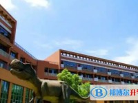 自貢市大安區嘉祥外國語學校怎么樣、好不好