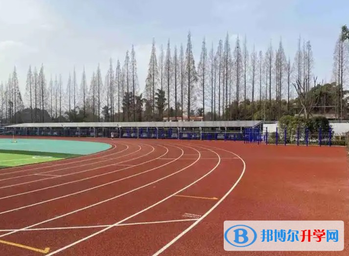2025自貢德銘中學(xué)招生計(jì)劃 招生人數(shù)是多少(附要求、條件、對象)