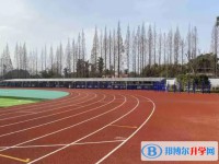 2025自貢德銘中學招生計劃 招生人數是多少(附要求、條件、對象)