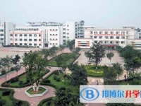 2025四川省富順縣趙化中學校招生計劃 招生人數是多少(附要求、條件、對象)