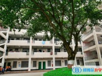 四川省綿陽普明中學怎么樣、好不好