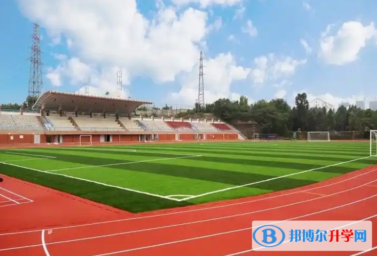 四川省綿陽市豐谷中學(xué)招生簡章2025年