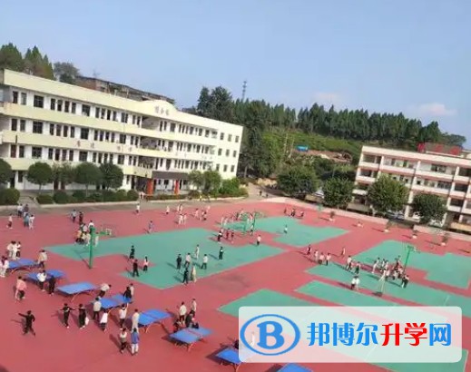 四川省綿陽市豐谷中學怎么樣、好不好