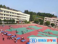 四川省綿陽市豐谷中學怎么樣、好不好