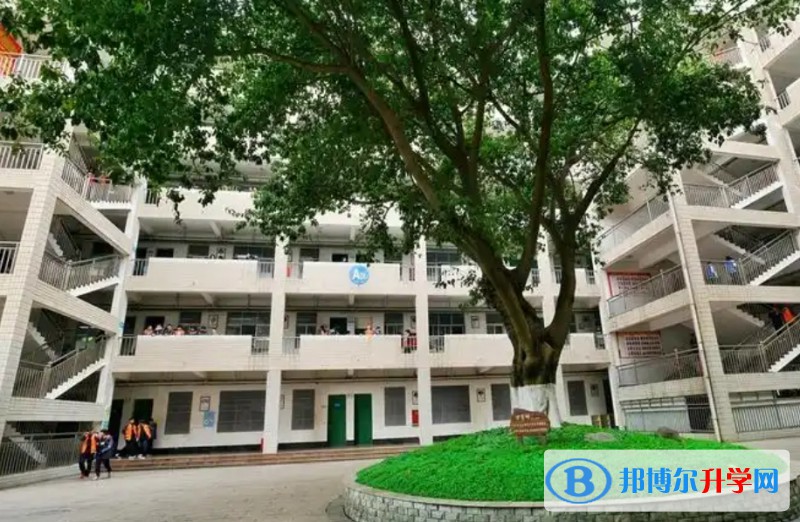 綿陽普明中學(xué)招生簡章2025年
