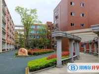 2025綿陽市實驗中學(xué)招生計劃 招生人數(shù)是多少(附要求、條件、對象)