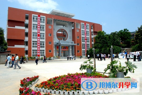 2025四川省三臺(tái)第一中學(xué)招生計(jì)劃 招生人數(shù)是多少(附要求、條件、對(duì)象)