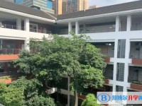 2025綿陽第九中學(xué)招生計劃 招生人數(shù)是多少(附要求、條件、對象)