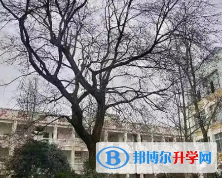 江油彰明中學(xué)怎么樣、好不好