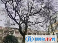 江油彰明中學(xué)怎么樣、好不好