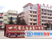 2025三臺第一中學(xué)多少錢(學(xué)費明細(xì))