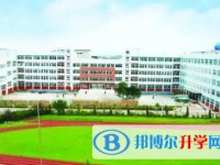 2025太白中學(xué)招生計劃 招生人數(shù)是多少(附要求、條件、對象)