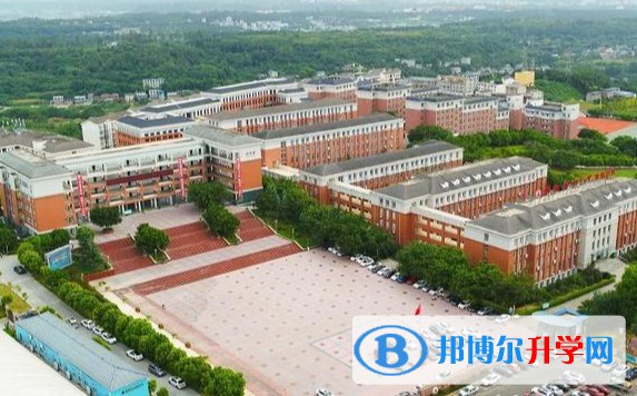 四川省綿陽南山中學雙語學校招生簡章2025年