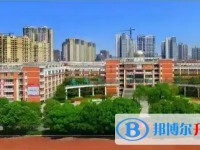 2025安州中學招生計劃 招生人數是多少(附要求、條件、對象)