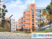 2025綿陽市育英高級中學招生計劃 招生人數是多少(附要求、條件、對象)