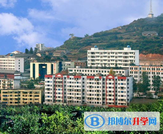 四川省劍閣中學(xué)招生簡章2025年