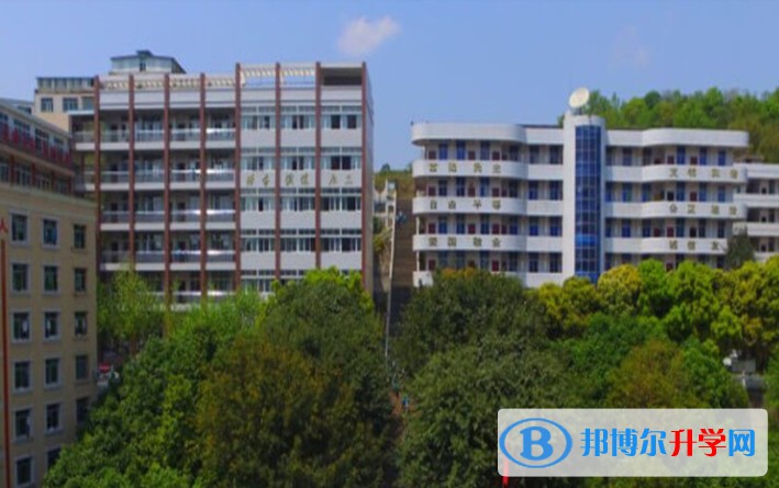 2025蒼溪實驗中學(xué)多少錢(學(xué)費明細)