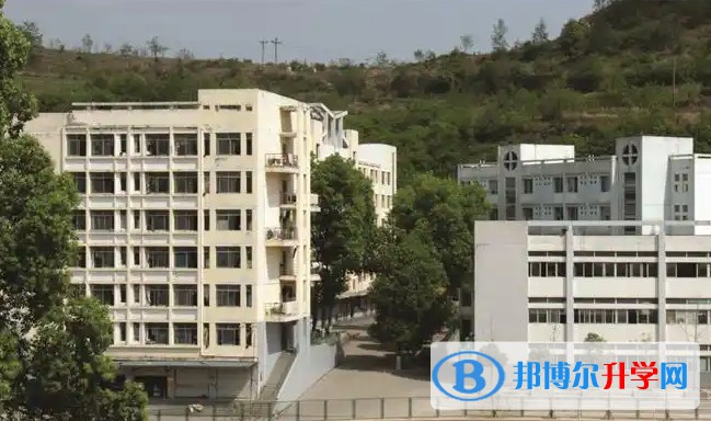 2025廣元市中學(xué)招生計劃 招生人數(shù)是多少(附要求、條件、對象)
