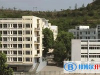 2025廣元市中學招生計劃 招生人數是多少(附要求、條件、對象)