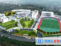 蒼溪縣歧坪中學地址，乘車路線