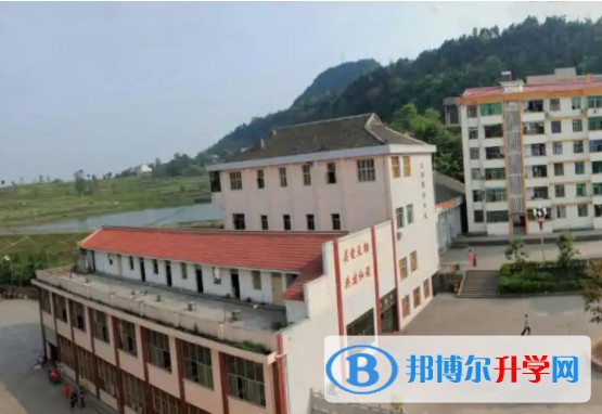 2025四川省蒼溪縣文昌中學招生計劃 招生人數是多少(附要求、條件、對象)