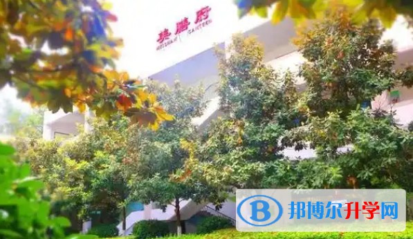 廣元外國語學校招生簡章2025年