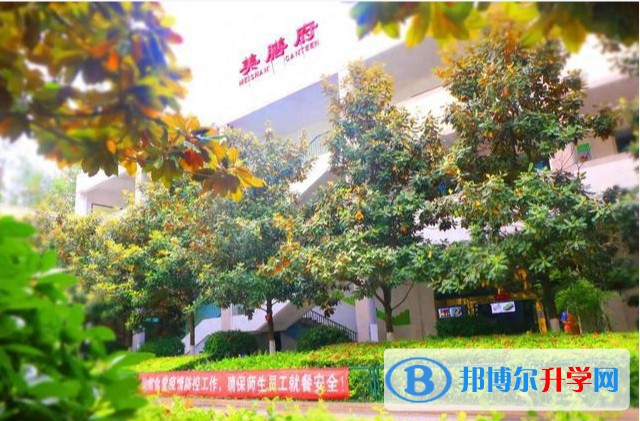 2025四川省廣元外國語學校招生計劃 招生人數是多少(附要求、條件、對象)